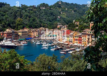 Vue depuis le dessus de la petite baie avec yachts et maisons colorées à Portofino, Italie. Banque D'Images