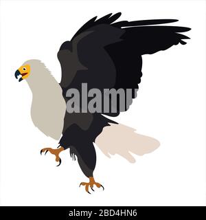 Mignon animal aigle clip art oiseau illustration personnage de dessin animé Illustration de Vecteur