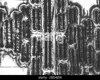 Détresse ancienne texture de plaque vectorielle métallique épluchée et épluchée, avec trous. Illustration EPS8. Fond gris noir et blanc. Illustration de Vecteur