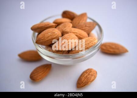 Amandes. Ecrou amande isolé.profondeur de champ complète. Image de photographie de gros plan Banque D'Images