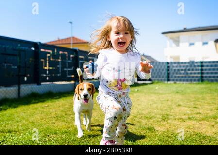 Enfant jouant avec le meilleur ami de chien de beagle dans l'arrière-cour le jour ensoleillé du printemps. Banque D'Images