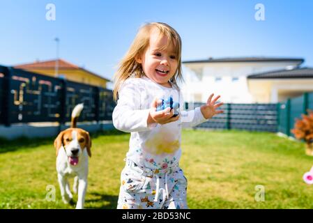 Enfant jouant avec le meilleur ami de chien de beagle dans l'arrière-cour le jour ensoleillé du printemps. Banque D'Images