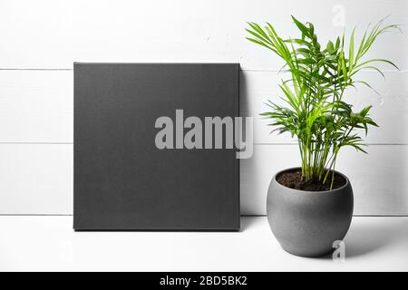 Une toile de coton noir et une plante verte dans un pot de fleurs sur fond de bois blanc. Toile propre étirée. Maquette, vue avant Banque D'Images