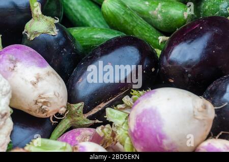 Un homme non identifié qui vend des fruits et des légumes porte à porte à Jhelum City, Jhelum, Punjab, Pakistan Banque D'Images