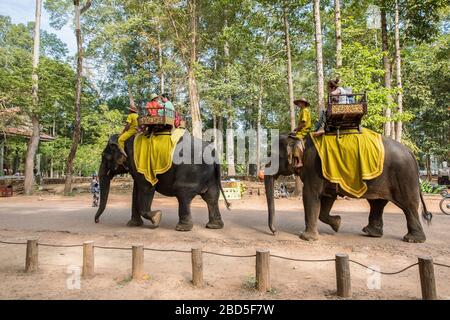Voyage à dos d'éléphant, Temple Bayon, Siem Reap, Cambodge. Banque D'Images