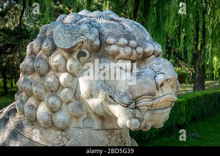 Statue du lion à genoux, de l'Esprit ou de la voie sacrée, des tombes de Ming, du district de Changping, Beijing, Chine Banque D'Images