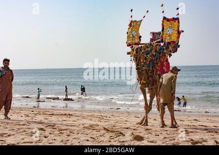 Plage de Kushan, Keemari, Karachi, Sindh, Pakistan, Camel & Horse Ride en attente de clients dans l'après-midi Banque D'Images