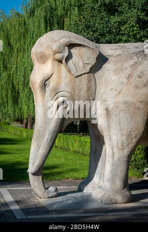 Détail de la statue de l'éléphant, de l'Esprit ou de la voie sacrée, des tombes de Ming, du district de Changping, Beijing, Chine Banque D'Images