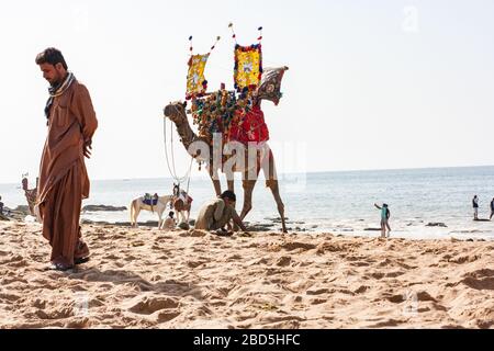 Plage de Kushan, Keemari, Karachi, Sindh, Pakistan, Camel & Horse Ride en attente de clients dans l'après-midi Banque D'Images