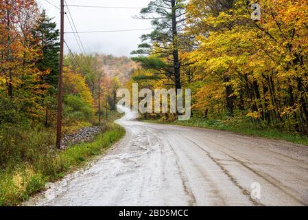 Tortueux chemin de montagne boueux à travers une forêt colorée lors d'un jour d'automne pluvieux. Belles couleurs d'automne. Banque D'Images