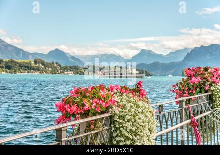 Fleurs à Schweizerhofquai au bord du lac de Lucerne en été, Lucerne, Suisse Banque D'Images