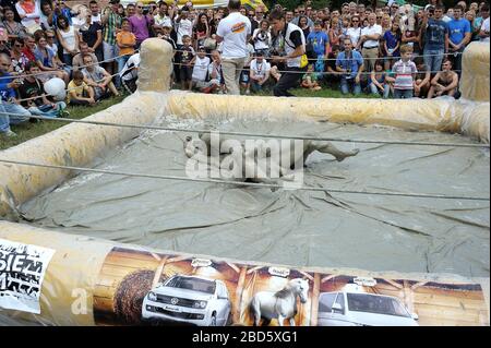 Des filles de boue luttant dans le ring, la foule de gens se wathing. 23 juin 2017. Kiev, Ukraine Banque D'Images