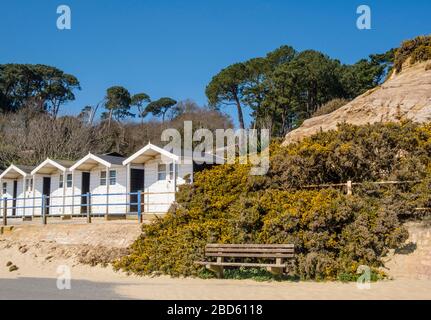 Bournemouth Beach Huts sur la Promenade à Lockdown pendant la pandémie de coronavirus, Dorset, Angleterre, Royaume-Uni. Banque D'Images