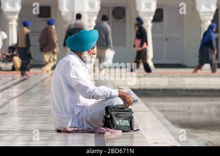 Sikh au temple doré priant Banque D'Images