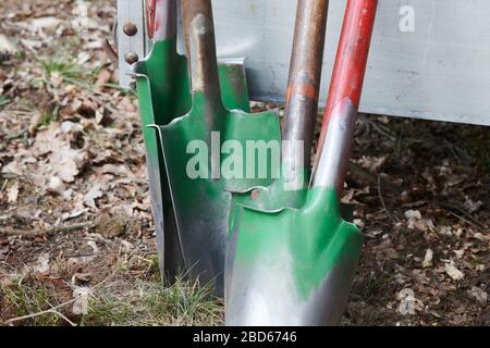 04 avril 2020, Brandenburg, Märtensmühle: Un chat attend une voiture. Des semis de charme, de linden d'hiver, d'érable sycomore et de chêne anglais ont été fraîchement plantés dans une zone boisée de Nuthe-Nieplitz. Le projet de protection du climat a été lancé par Baumgutschein-Brandenburg. Photo: Annette Riedl/dpa-Zentralbild/ZB Banque D'Images