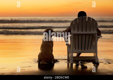 Homme d'âge senior relaxant regardant le coucher du soleil sur une plage avec son chien. Banque D'Images