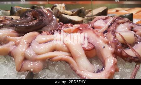 Calmar frais et Octopus sur le marché du poisson. Fruits de mer sains dans la glace. Banque D'Images