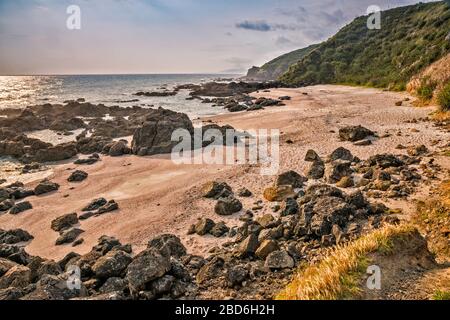 Roches volcaniques sur la plage, marée basse, à te Arai point au lever du soleil, région d'Auckland, Île du Nord, Nouvelle-Zélande Banque D'Images