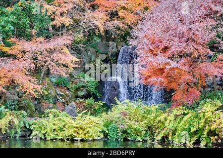 Cascade entourée d'arbres colorés d'automne Banque D'Images