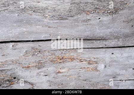 Contreplaqué gris fissuré, vieux fond de texture de bois. Papier sale, cadre en bois vintage. Sol en merde, planche rayée. Mur de Grunge Banque D'Images