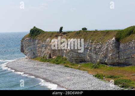 Paysage près de Rodvig, Zélande, Danemark Banque D'Images