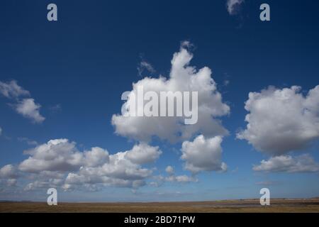 Une vue sur les marais salants vers Blakeney point de Morston, Norfolk, Angleterre montrant le «grand ciel» typique de la région avec le ciel cumulus de nuages. Banque D'Images