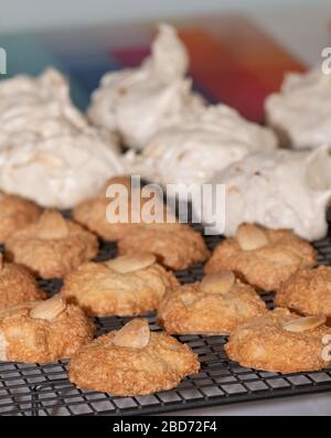 Cuisson de la Pâque (Pesach) - biscuits aux amandes macarons et gâteaux de meringue à la noix de coco, présentés sur un plateau de refroidissement en fil Banque D'Images