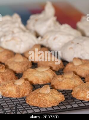 Cuisson de la Pâque (Pesach) - biscuits aux amandes macarons et gâteaux de meringue à la noix de coco, présentés sur un plateau de refroidissement en fil Banque D'Images