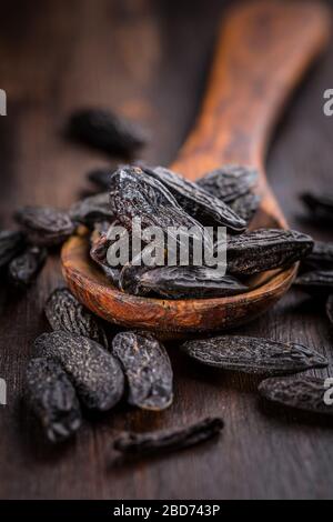 Haricots de tonka parfumés pour la cuisson et la cuisson sur fond sombre Banque D'Images