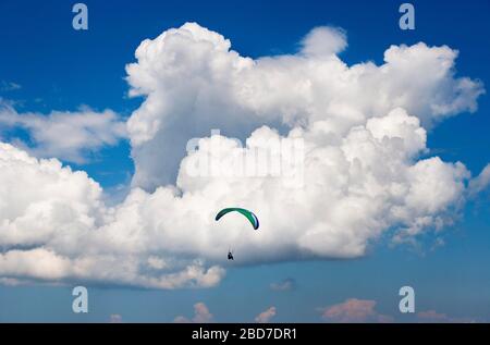 Pilotes de parapentes devant les nuages de cumulus, Land Salzburg, Autriche Banque D'Images