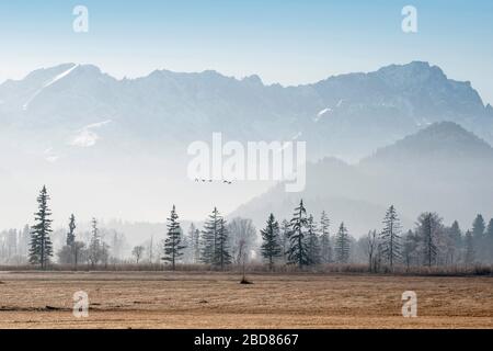 Amarre devant les montagnes de Wetterstein avec Zugspitze et Alpspitze, Allemagne, Bavière, région Wettersteingebirge Banque D'Images