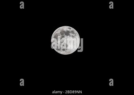 Supermoon, la Super Lune rose, la pleine lune au périgée le 7 avril 2020, vue de Surrey, au sud-est de l'Angleterre, la plus grande de l'année Banque D'Images