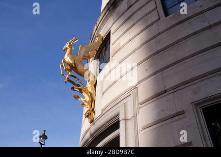 Golden Springbok sculpture sur le bâtiment de la Commission d'Afrique du Sud, Trafalgar Square, Londres. UK Banque D'Images