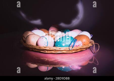 Oeufs colorés de poulet et de caille avec des plumes dans la plaque de paille sur fond brillant avec lumière ciblée rose. Concept de Pâques. Banque D'Images