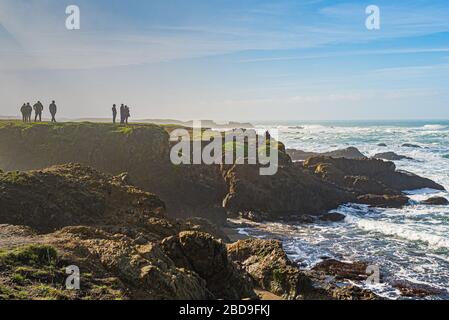 California Coast Highway 01 Ocean Pacific fort Bragg Banque D'Images