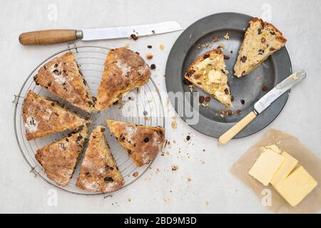 Pain soda aux fruits fait maison sur une plaque de étain et une grille de refroidissement à fil rond Banque D'Images