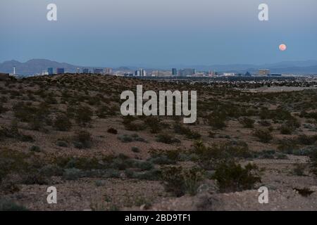 Las Vegas, Nevada, États-Unis. 7 avril 2020. La lune super rose, la plus grande superlune de l'année, s'élève au-dessus du Strip de Las Vegas le 7 avril 2020 à Las Vegas, Nevada. La lune rose a obtenu son nom parce que la pleine lune d'avril se produit en même temps que la fleur rose sauvage Phlox subulata fleurit en Amérique du Nord. Une superlune se produit lorsqu'une pleine lune coïncide avec son périgée, qui est son approche la plus proche de la Terre. Crédit: David Becker/ZUMA Wire/Alay Live News Banque D'Images