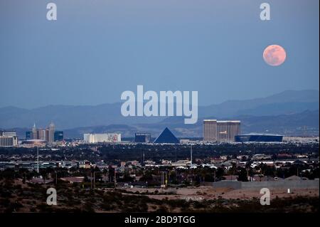 Las Vegas, Nevada, États-Unis. 7 avril 2020. La lune super rose, la plus grande superlune de l'année, s'élève au-dessus du Strip de Las Vegas le 7 avril 2020 à Las Vegas, Nevada. La lune rose a obtenu son nom parce que la pleine lune d'avril se produit en même temps que la fleur rose sauvage Phlox subulata fleurit en Amérique du Nord. Une superlune se produit lorsqu'une pleine lune coïncide avec son périgée, qui est son approche la plus proche de la Terre. Crédit: David Becker/ZUMA Wire/Alay Live News Banque D'Images