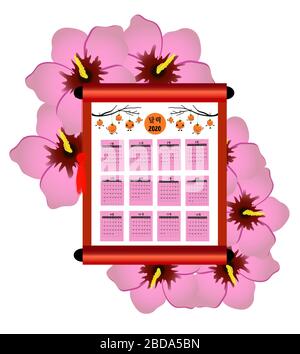 Calendrier 2020 Coréen. Le symbole national de la Corée du Sud est la rose des stocks ou l'hibiscus. Faire défiler avec du parchemin. Fruits persimmon. Traduction : jours de la semaine et Illustration de Vecteur