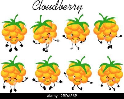 collection de baies de mûrier sur fond blanc. Logo de la société de production de baies. Illustration de Vecteur