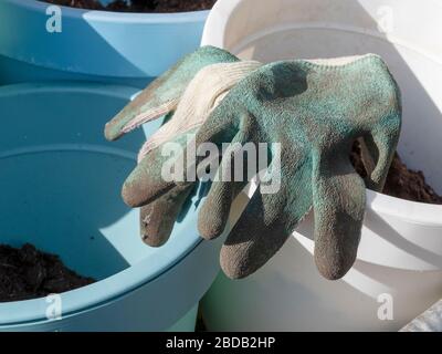 Les gants de jardinage se trouvent sur des pots de fleurs avec du sol dans la brouette au printemps. Gros plan. Banque D'Images