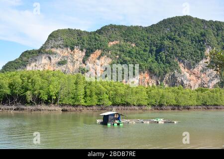 Ban Hin ROM Pier est un autre magnifique quai avec le mode de vie des habitants de la région vivant dans un environnement naturel et des pêcheurs locaux. Est également ouvert Banque D'Images