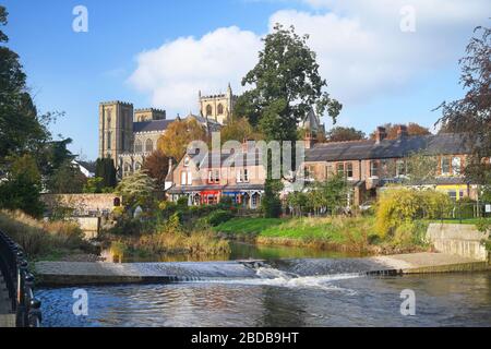 rivière skell coule par ripon cathédrale yorkshire royaume-uni Banque D'Images