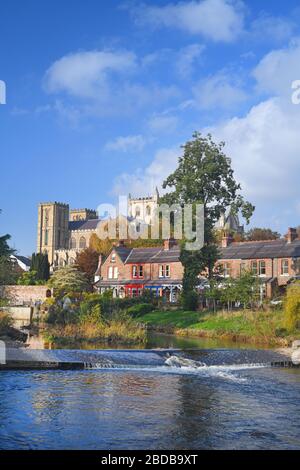 rivière skell coule par ripon cathédrale yorkshire royaume-uni Banque D'Images