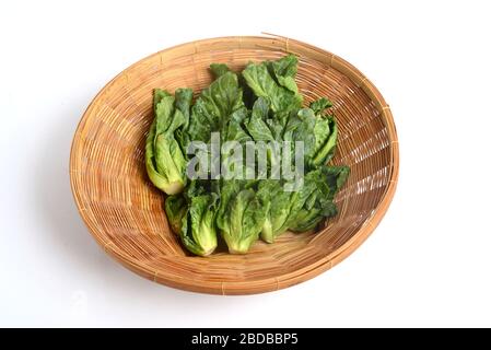 Le germe de Bruxelles est membre du Groupe Gemmifera de choux (Brassica oleracea), cultivé pour ses bourgeons comestibles.ressemble à des cabanes miniatures.le Bru Banque D'Images