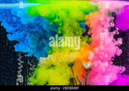 L'aquarelle colorée tombe dans l'eau avec des fleurs blanches Banque D'Images