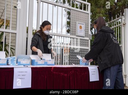 Wellington, Nouvelle-Zélande. 8 avril 2020. Un étudiant chinois reçoit des masques gratuits fournis par l'ambassade de Chine à Wellington, en Nouvelle-Zélande, le 8 avril 2020. Des packs de santé contenant des masques de visage fournis par l'ambassade de Chine ont été distribués aux étudiants chinois locaux pour prévenir l'épidémie COVID-19. Crédit: Guo Lei/Xinhua/Alay Live News Banque D'Images