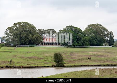 Le Homestead de Tocal est un 1845 conçu, feu Georgian/Regency Revival a rendu la brique de sable, propriété de deux étages, avec des vérandas sur trois côtés. Banque D'Images