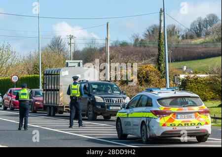 Clonakilty, West Cork, Irlande. 8 avril 2020. Le ministre de la Santé, Simon Harris TD, a signé la nuit dernière un projet de loi visant à donner plus de pouvoirs à Gardai au milieu de la pandémie de Covid-19. La nouvelle loi permet au gardai de détenir le public si les gens font des journaux unneccesary. Le Gardai a promis plus de barrages routiers au cours du week-end de Pâques car on s'attend à ce que les gens voyagent dans les maisons de vacances et les parcs de caravanes. Gardaï homme le point de contrôle ce matin sur la Clonakilty à Bandon Road. Crédit : Andy Gibson/Alay Live News Banque D'Images