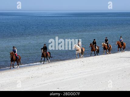 28.04.2018, Dierhagen, Mecklembourg-Poméranie-Occidentale, Allemagne - les jeunes femmes qui font de l'équitation à cheval le long de la plage de la mer Baltique. 00S180428D284CAROEX.JPG Banque D'Images